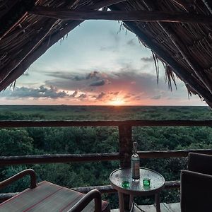 Hidden Treehouse Tulum Eco-Hotel